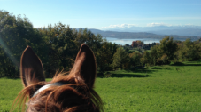 Escursione a Cavallo e pernottamento per 2 alle Grotte Remeron - Zona Varese  