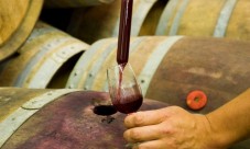 Degustazione di Amarone e creazione di un vino personalizzato a Verona
