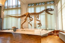 Buono regalo viaggio Bordeaux per genitore e figlio con ingresso al Muséum d’Histoire Naturelle