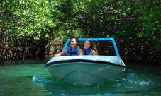 Jungle Adventure Tour