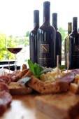 Visita cantina e degustazione vini per 4 in Piemonte