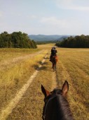 Passeggiata a Cavallo e Aperitivo sui Colli Bolognesi per Due