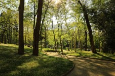 Avventura ed emozioni al Parco Cerwood 