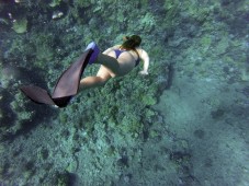 Escursione di Snorkeling & soggiorno 1 notte