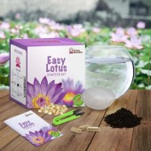 Coltiva il tuo Fiore di Loto Starter Kit