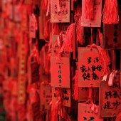 Voucher regalo corso Medicina Tradizionale Cinese: Una Disciplina Millenaria per il Nostro Benessere