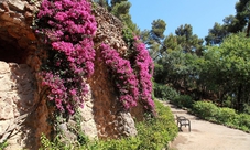 Parco Güell: biglietti salta fila e visita guidata