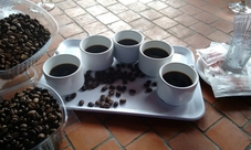 Northern Gran Canaria scents tour