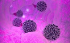 Papilloma virus DNA HPV qualitativo | Zona Ferrara