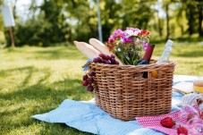 Picnic in vigna a Montepulciano 