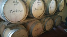 Degustazione vino Audarya e visita cantine - Serdiana