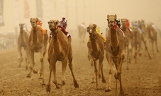 Tour di Al Ain
