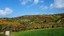 Soggiorno Monferrato e degustazione 3 vini