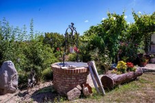 Notte nello Chalet nel bosco con Visita Guidata alla Tenuta - Calabria 