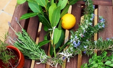 Let’s make Hierbas: guided tour in Mallorca with liquor tasting