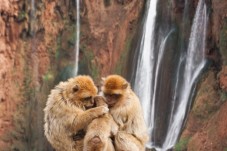 Tour di un'intera giornata nelle cascate di Ouzoud da Marrakech