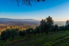 Vacanza In Camper Per Gruppo Noleggio Una Settimana Formato Platinum