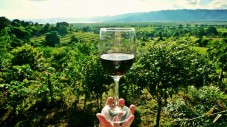 Degustazione 6 Vini Rossi e Vinsanto