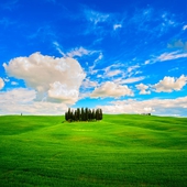 Tour della Val d'Orcia: Brunello di Montalcino, Vino Nobile di Montepulciano e Pecorino di Pienza.