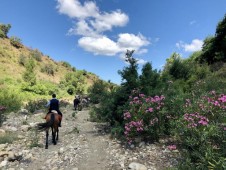 Soggiorno Sicilia con escursioni a cavallo tra vigneti e montagne