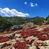 Tour in Bici Sardegna Vecchia Ferrovia - Monti Calangianus