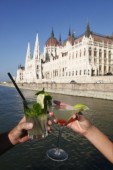 Crociera con cocktail sul Danubio