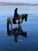 Due Giorni a Cavallo sulle sponde del Lago Viverone in Piemonte