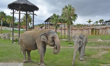 Biglietti Zoo Terra Natura