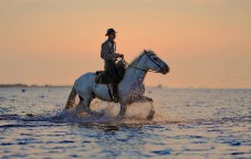 Passeggiata a cavallo nel Golfo di Cagliari, Sud Sardegna