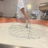Tour e Degustazione alla Fabbrica di Parmigiano Reggiano a Maranello