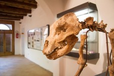 Avventura nella preistoria nel Parco Archeologico di Cetona per Famiglia