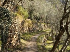 Escursioni in Liguria...