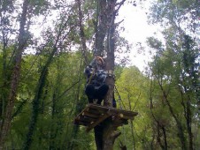 Percorso sugli alberi nel parco avventura