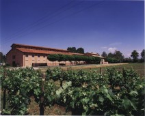 Visita cantina e degustazione 5 vini con tagliere | Friuli