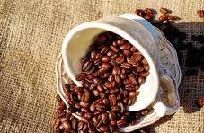 Dolce vita tour terme e degustazione in caffè 