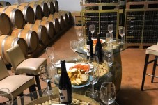 Tour dei Vini di Puglia per 4 