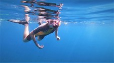 Snorkeling sulla barriera corallina di Isla Mujeres presso l'Albatros Beach Club