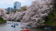 Una settimana a Tokyo All Inclusive per quattro persone