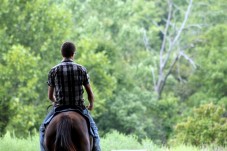 Passeggiata a Cavallo alla Collina dell'Albero Solitario di Volterra