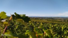 Costigliole Asti La panchina gigante e i vini