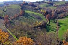 Cena Tradizionale Parma per Famiglia