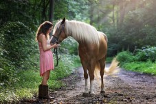 Esperienza di primo contatto con il cavallo e introduzione alla sella per bambini nei pressi di Trento.