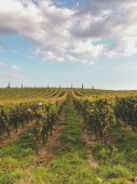 Weekend di coppia a Bordeaux con visita alla Cité du Vin e Volo Incluso