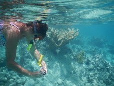 Snorkeling & soggiorno 1 notte in Sardegna 