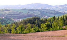 Chianti wine tour in the Tuscan's hills by minivan half day from Lucca