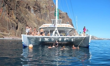 Dolphins and Whales Watching in Madeira