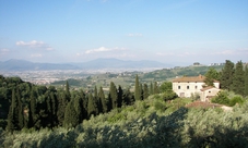 Tour a Carmignano con sommelier, visita di 2 cantine e degustazione di 3 vini