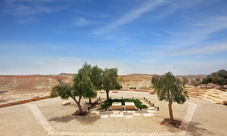 Private day tour from Tel Aviv: Negev and the Beersheba region