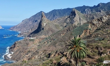Tenerife: Laguna Taganana and Teresitas guided tour