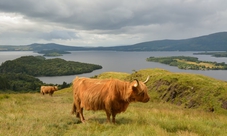 Loch Lomond, The Trossachs National Park & Stirling Castle from Glasgow